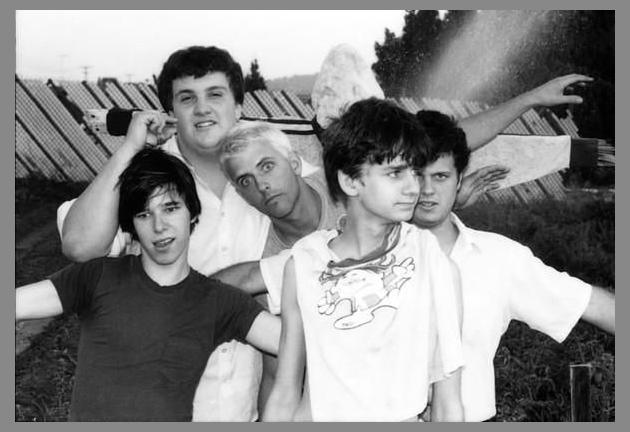 The Adolescents